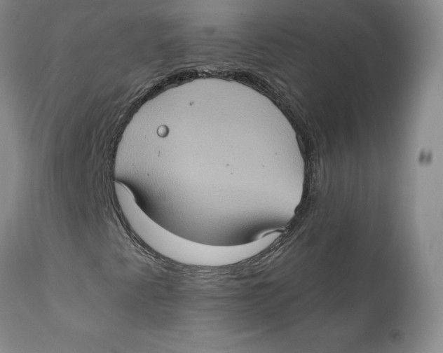 X0000112381345200909101336