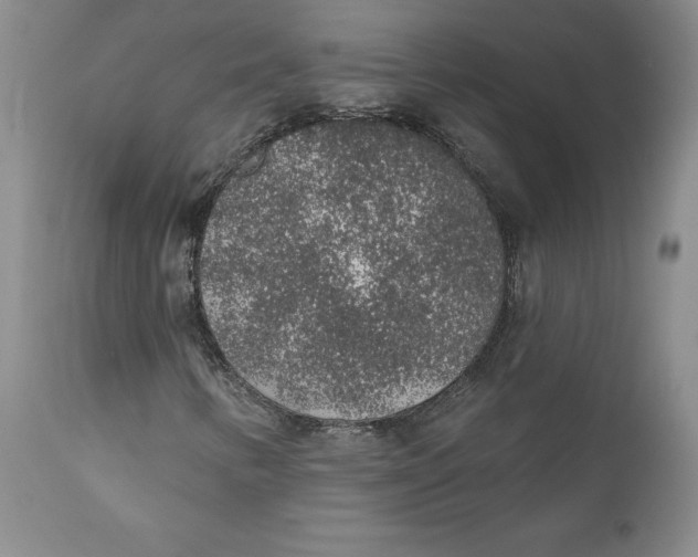 X0000112381346200909101336