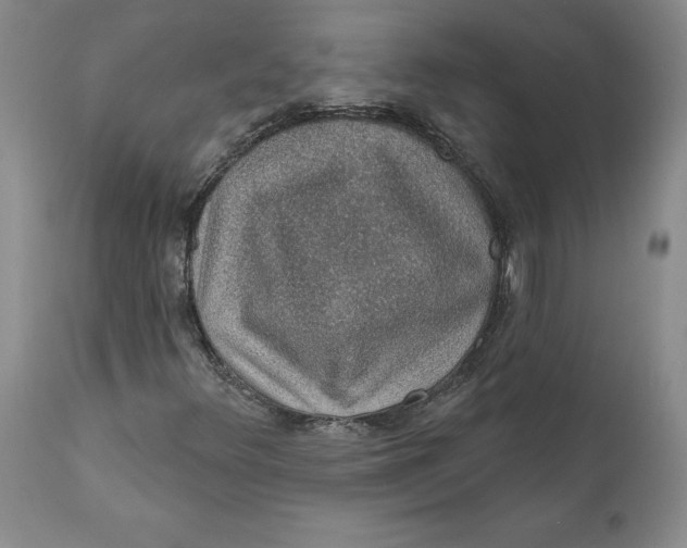 X0000112381348200909101336