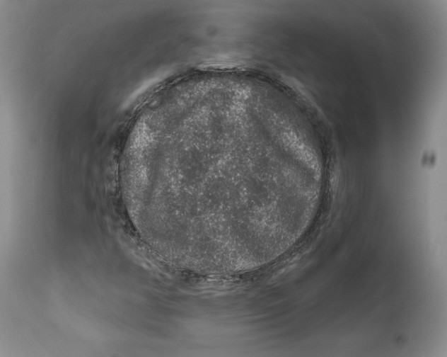 X0000112381350200909101336