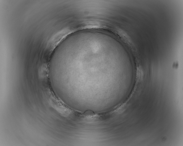 X0000112381353200909101335