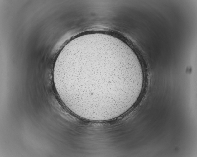 X0000112381355200909101335