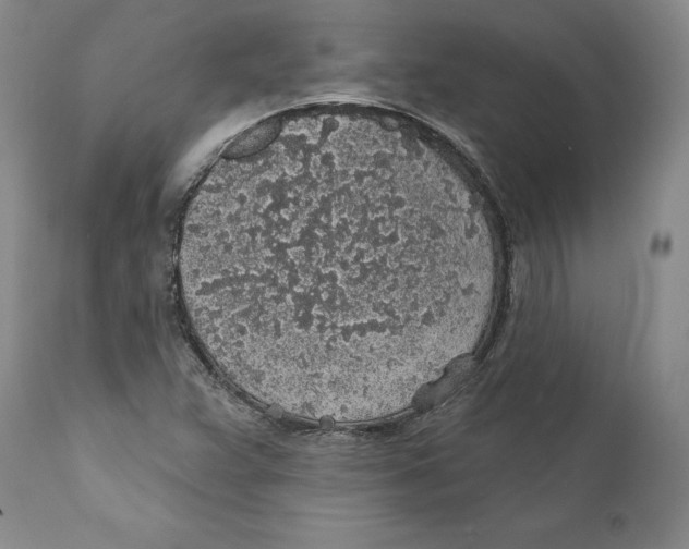 X0000112381359200909101335