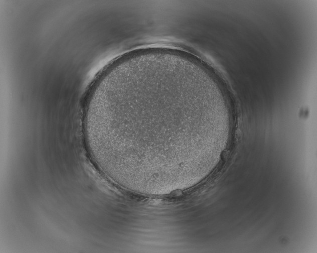 X0000112381360200909101335