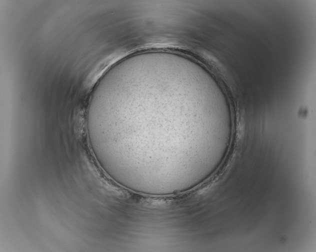 X0000112381361200909101335