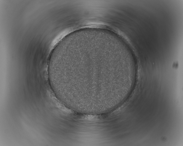 X0000112381362200909101335