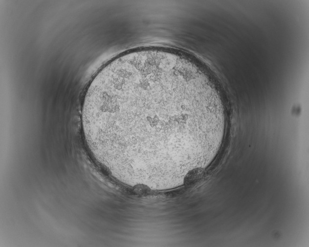 X0000112381363200909101335