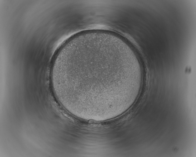 X0000112381364200909101335