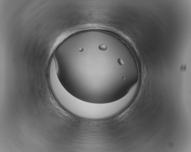 X0000112381365200909101335