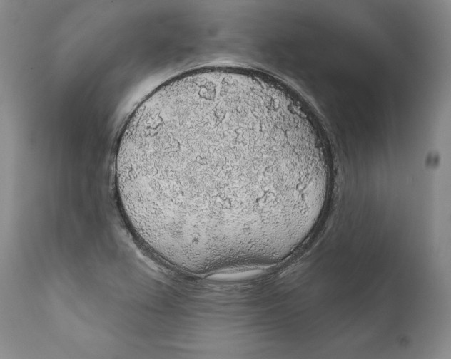 X0000112381367200909101335