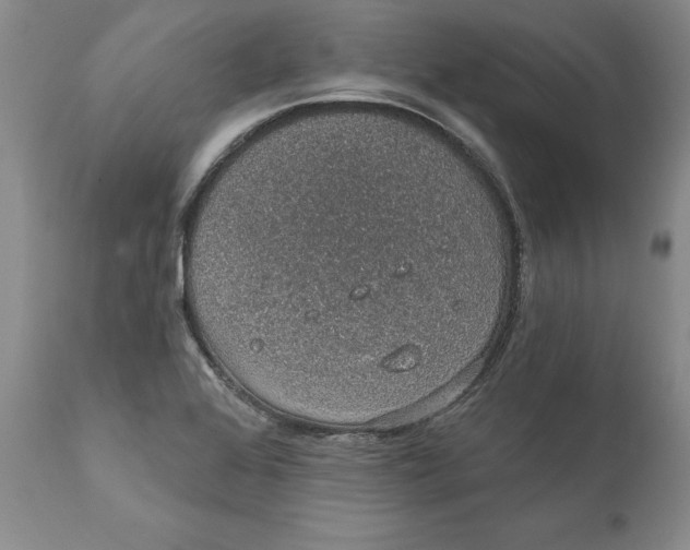 X0000112381368200909101335