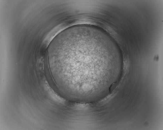 X0000112381369200909101335