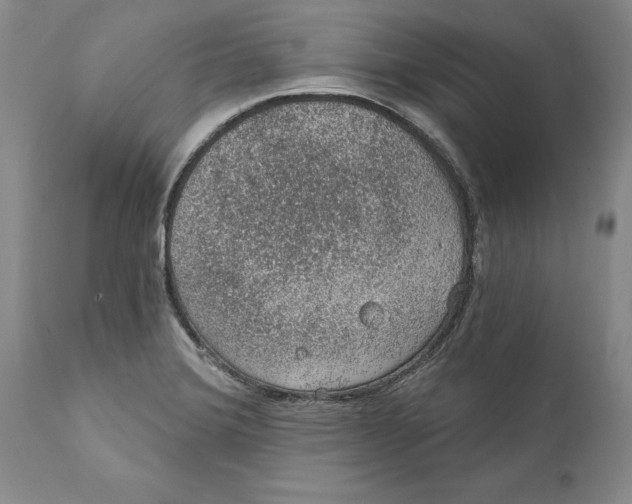 X0000112381372200909101335