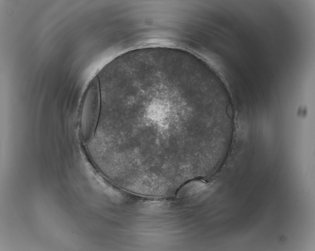 X0000112381373200909101335