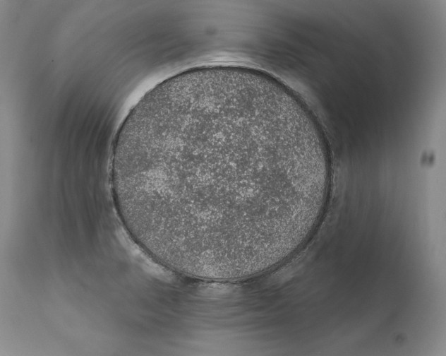 X0000112381374200909101335