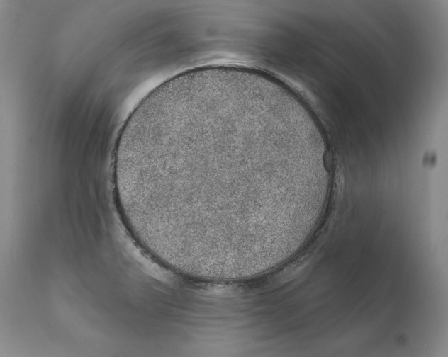 X0000112381375200909101335