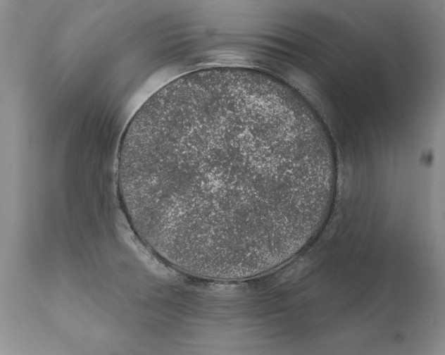 X0000112381378200909101335