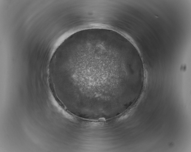 X0000112381381200909101335