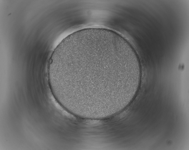 X0000112381382200909101335