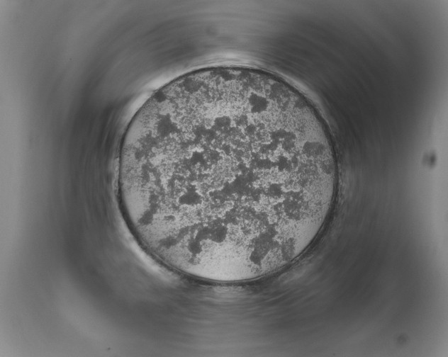 X0000112381383200909101335