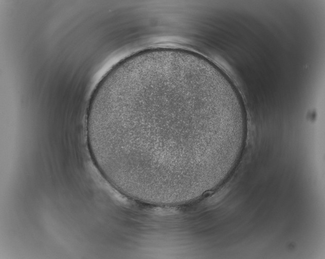 X0000112381384200909101335