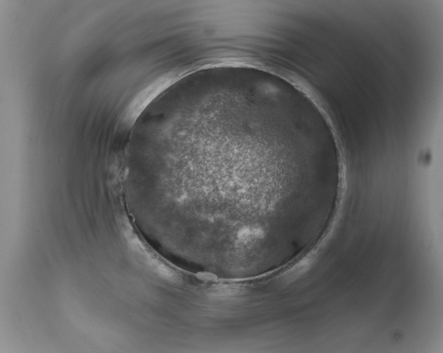 X0000112381385200909101335