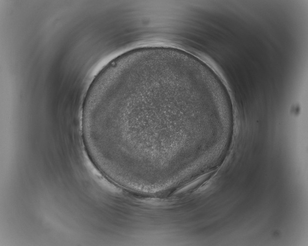 X0000112381388200909101335