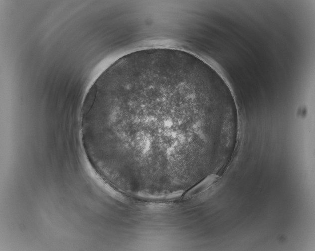 X0000112381389200909101335