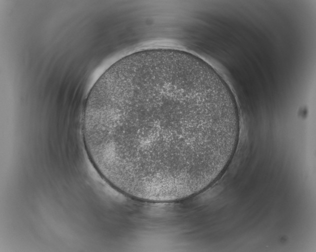 X0000112381390200909101335