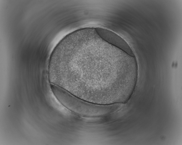 X0000112381392200909101335