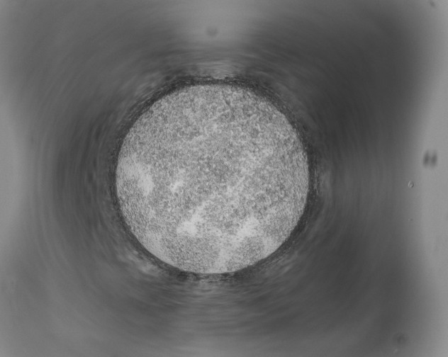 X0000112381393200909101334