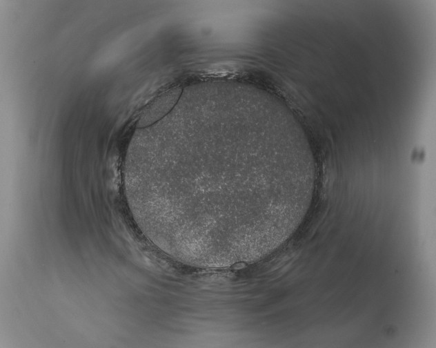 X0000112381394200909101334