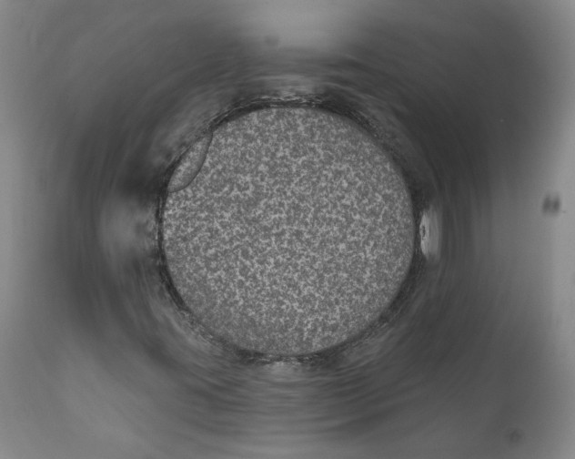 X0000112381395200909101334