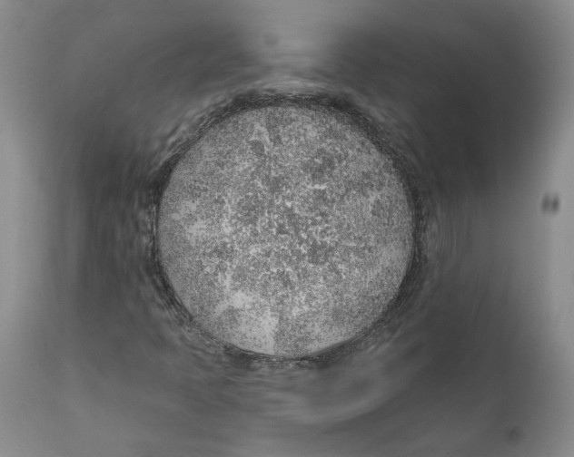 X0000112381397200909101334