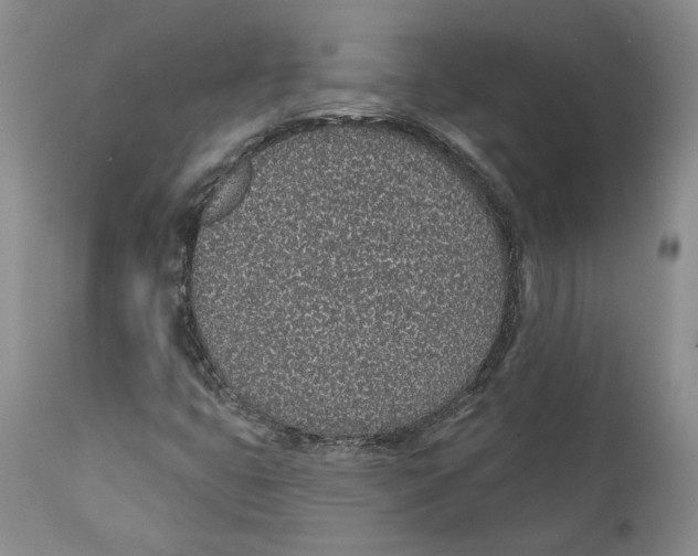 X0000112381399200909101334