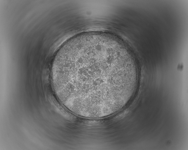 X0000112381401200909101334