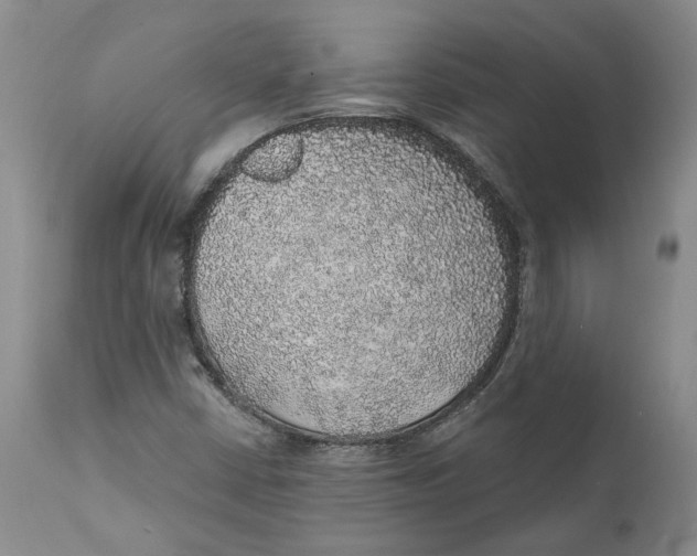 X0000112381402200909101334