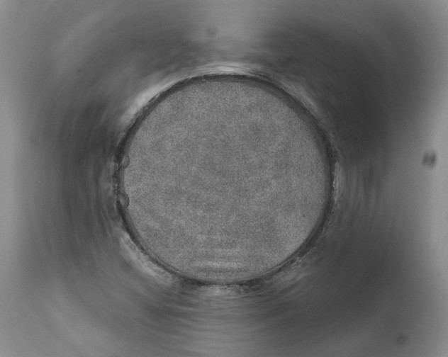 X0000112381404200909101334