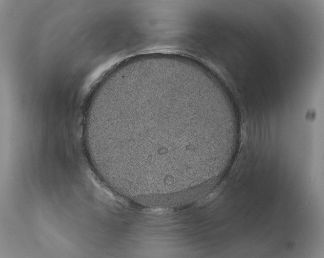 X0000112381406200909101334