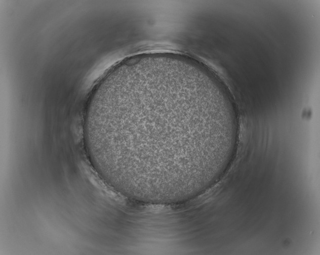 X0000112381407200909101334