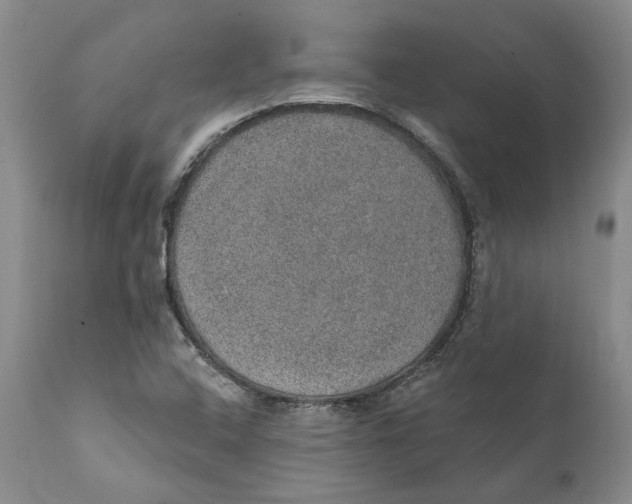 X0000112381408200909101335