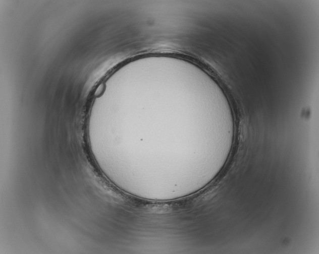 X0000112381410200909101335