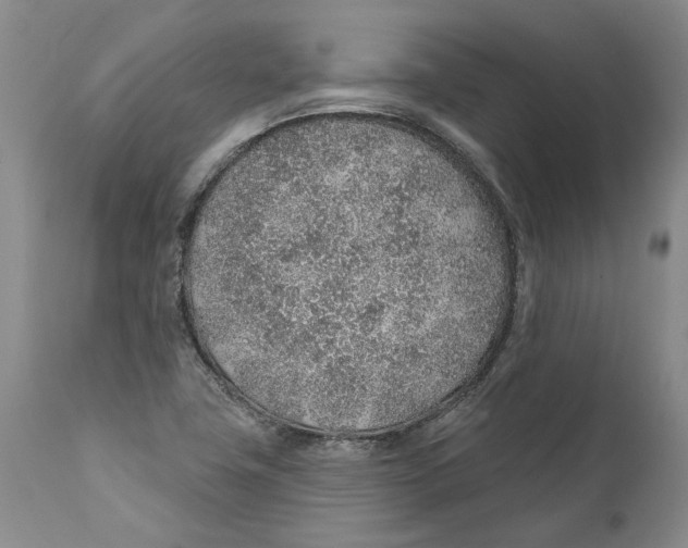 X0000112381411200909101335