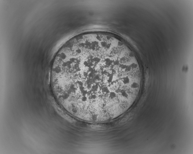 X0000112381413200909101335