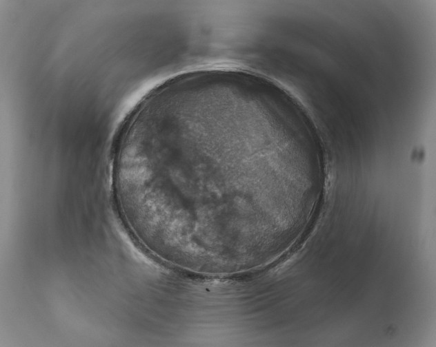 X0000112381414200909101335