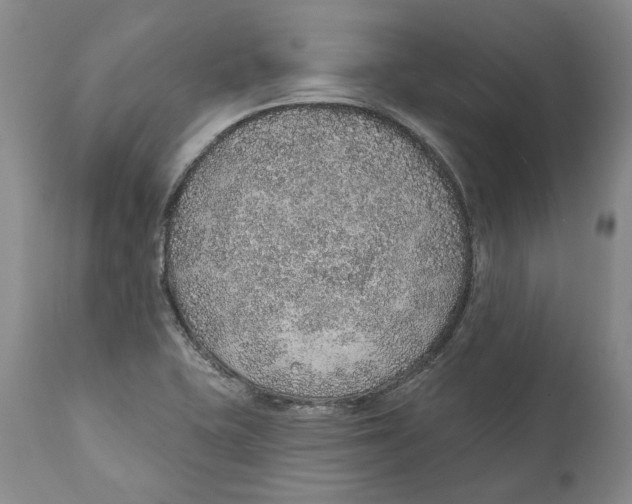 X0000112381415200909101335