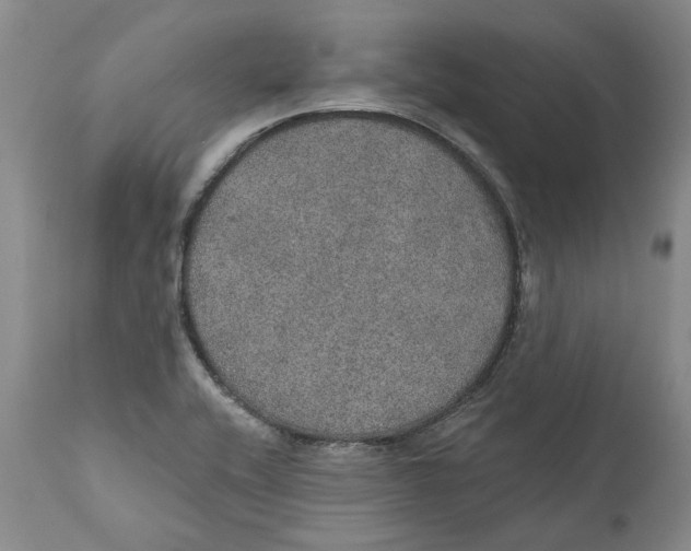 X0000112381416200909101335