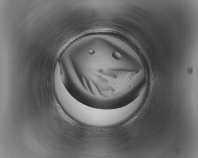 X0000112381417200909101335