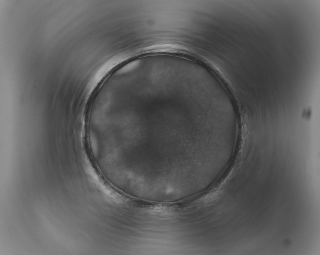 X0000112381418200909101335