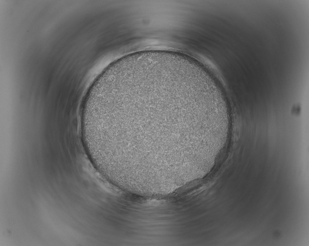 X0000112381419200909101335